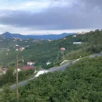 Bitek * Τραμπζόν