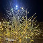 Bitek Σπίτι διακοπών