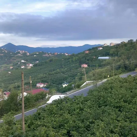 Bitek * Trabzon