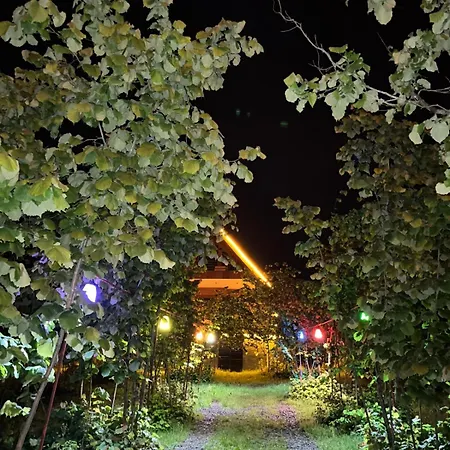 Дом отдыха Bitek Трабзон