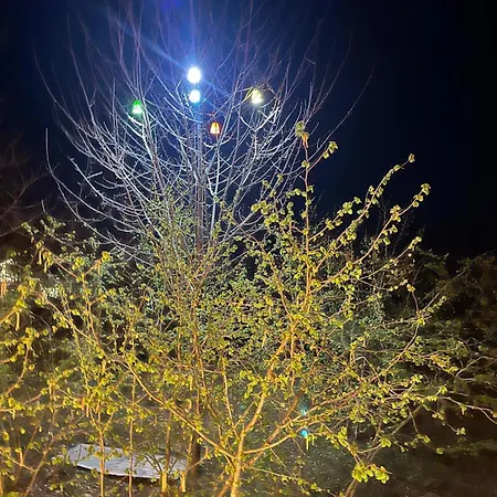 Bitek Дом отдыха