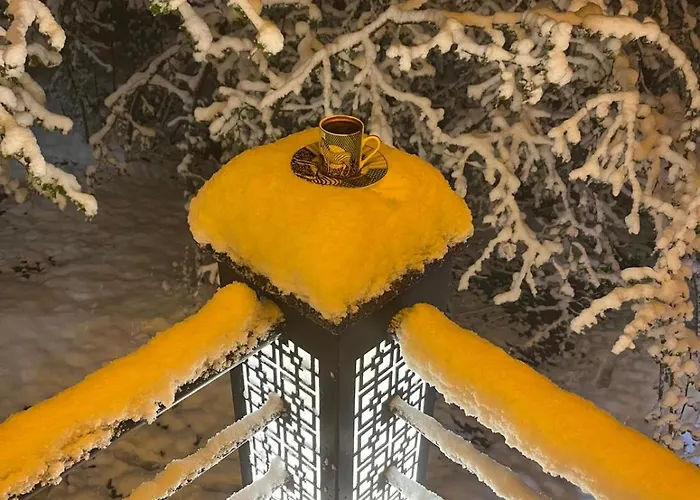 Bitek Holiday home Trabzon